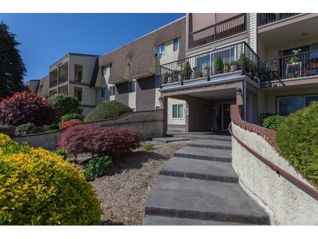 Main Photo: 356 2821 TIMS Street in Abbotsford: Abbotsford West Condo for sale in "Parkview Estates" : MLS®# R2058809