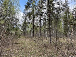 Photo 17: Torch River RM Acreage 5.51 Acres in Torch River: Lot/Land for sale (Torch River Rm No. 488)  : MLS®# SK897923