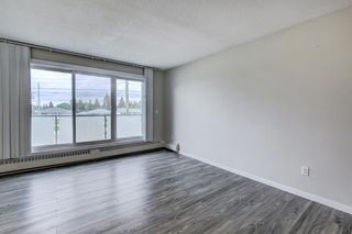 Photo 15: 203 335 Garry Crescent NE in Calgary: Greenview Apartment for sale : MLS®# A1236710
