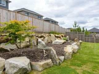 Photo 6: 3355 Solport St in CUMBERLAND: CV Cumberland House for sale (Comox Valley)  : MLS®# 841717