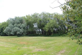 Photo 10: 44087 33 N Road in La Broquerie: Vacant Land for sale : MLS®# 202319775