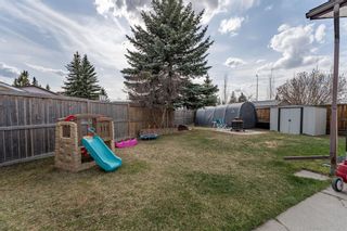 Photo 23: 112 Abbercove Way SE in Calgary: Abbeydale Detached for sale : MLS®# A1214049