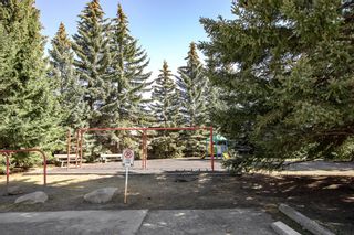 Photo 24: 48 1055 72 Avenue NW in Calgary: Huntington Hills Row/Townhouse for sale : MLS®# A2053865