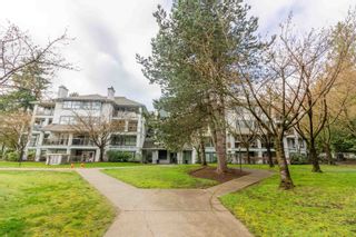 Photo 30: 306B 7025 STRIDE Avenue in Burnaby: Edmonds BE Condo for sale in "SOMERSET HILL" (Burnaby East)  : MLS®# R2880149