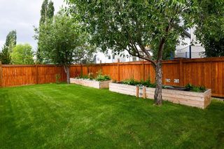 Photo 47: 233 KINCORA Heights NW in Calgary: Kincora Detached for sale : MLS®# A1029460