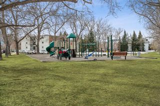 Photo 29: B 606 3 Avenue NW in Calgary: Sunnyside Apartment for sale : MLS®# A2110266