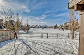 Photo 43: 2905 Prairie Springs Grove SW: Airdrie Detached for sale : MLS®# A2031412