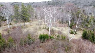 Photo 8: Lot 1&2 East Bay Highway in Big Pond: 207-C. B. County Vacant Land for sale (Cape Breton)  : MLS®# 202108705