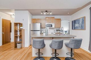 Photo 12: 5 330 19 Avenue SW in Calgary: Mission Apartment for sale : MLS®# A2126034