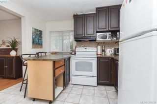 Photo 5: 2611 Fifth St in VICTORIA: Vi Hillside Half Duplex for sale (Victoria)  : MLS®# 786353
