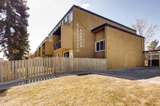 Photo 23: 221 7007 4A Street SW in Calgary: Kingsland Apartment for sale : MLS®# A2028963