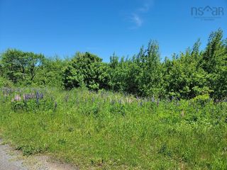 Photo 3: Reeves Road in Coalburn: 108-Rural Pictou County Vacant Land for sale (Northern Region)  : MLS®# 202213906
