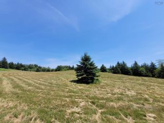 Photo 6: Pleasant Valley Road in Pleasant Valley: 104-Truro / Bible Hill Residential for sale (Northern Region)  : MLS®# 202320960