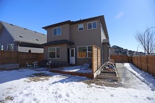 Photo 37: 7 Nolanshire Crescent NW in Calgary: Nolan Hill Detached for sale : MLS®# A2034641