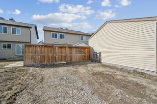 Photo 37: 253 Elgin Meadows Park SE in Calgary: McKenzie Towne Semi Detached (Half Duplex) for sale : MLS®# A2121804