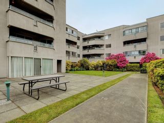 Photo 23: 304 1100 Union Rd in Saanich: SE Maplewood Condo for sale (Saanich East)  : MLS®# 905654