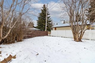 Photo 23: 3420 Boulton Road in Calgary: Brentwood Detached for sale : MLS®# A1178683