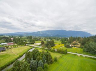 Photo 8: 19970 MCNEIL Road in Pitt Meadows: North Meadows PI Land for sale : MLS®# R2141120