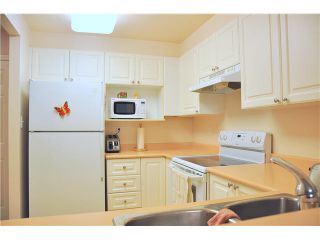 Photo 5: 302 3070 Guildford Way in Coquitlam: North Coquitlam Condo for sale : MLS®# V1126460