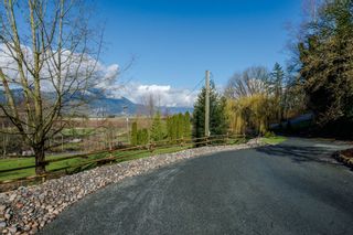 Photo 5: 41056 BELROSE Road in Abbotsford: Sumas Prairie House for sale : MLS®# R2039455