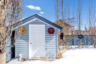 Photo 28: 287 Panamount Drive NW in Calgary: Panorama Hills Detached for sale : MLS®# A2032891