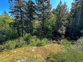 Photo 8: 27 PASSAGE Island in West Vancouver: Passage Island Land for sale : MLS®# R2875001