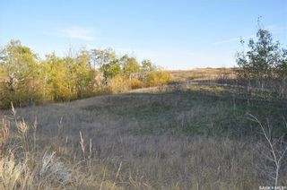 Photo 6: 6 Peace Bay in Dundurn: Lot/Land for sale (Dundurn Rm No. 314)  : MLS®# SK889853