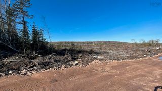 Photo 9: Lot JFN-1 (Portion of) Highway 12 in Forest Home: Kings County Vacant Land for sale (Annapolis Valley)  : MLS®# 202226931