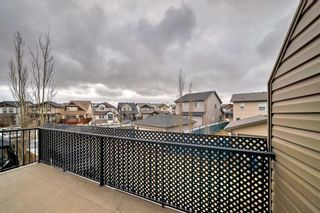 Photo 13: 21 Skyview Springs Circle NE in Calgary: Skyview Ranch Row/Townhouse for sale : MLS®# A2121788