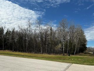 Photo 1: 7 Lot 7 Plan 32493 Avenue in Pinawa: Industrial / Commercial / Investment for sale (R18)  : MLS®# 202226924