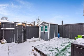 Photo 23: 6662 Temple Drive NE in Calgary: Temple Row/Townhouse for sale : MLS®# A1169119