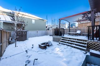 Photo 6: 20 Hillcrest Link SW: Airdrie Detached for sale : MLS®# A2020302