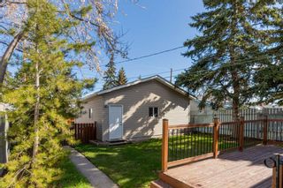 Photo 27: 69 Dovercliffe Close SE in Calgary: Dover Detached for sale : MLS®# A2129385