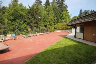 Photo 14: 4807 PATRICK PLACE in Burnaby: South Slope House for sale (Burnaby South) 