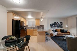 Photo 3: 204 922 19 Avenue SW in Calgary: Lower Mount Royal Apartment for sale : MLS®# A2128741
