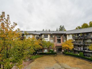 Photo 28: 301 11667 HANEY BYPASS in Maple Ridge: West Central Condo for sale : MLS®# R2692017