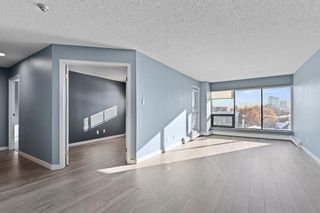 Photo 9: 306 659 4 Avenue NE in Calgary: Bridgeland/Riverside Apartment for sale : MLS®# A2011726