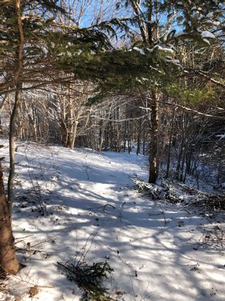 Photo 11: Lot 5 Lakeview Drive in Lake La Rose: Annapolis County Vacant Land for sale (Annapolis Valley)  : MLS®# 202300542