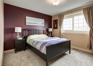 Photo 17: 259 Coventry Close NE in Calgary: Coventry Hills Detached for sale : MLS®# A2048008