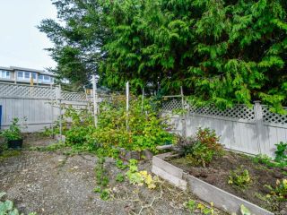 Photo 14: 456 Ash St in CAMPBELL RIVER: CR Campbell River Central House for sale (Campbell River)  : MLS®# 824795
