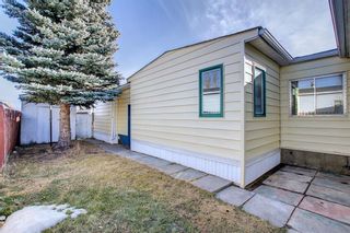 Photo 20: 73 Spring Haven Road SE: Airdrie Detached for sale : MLS®# A1181417
