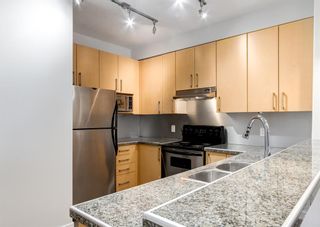 Photo 4: 406 880 Centre Avenue NE in Calgary: Bridgeland/Riverside Apartment for sale : MLS®# A2013130