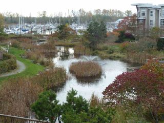 Photo 8: 304 5800 ANDREWS Road in Richmond: Steveston South Condo for sale in "Tje Villas at Southcove" : MLS®# R2241418
