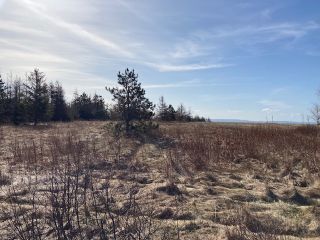 Photo 4: 92-1 Malagash Road in Malagash Point: 102N-North Of Hwy 104 Vacant Land for sale (Northern Region)  : MLS®# 202108290