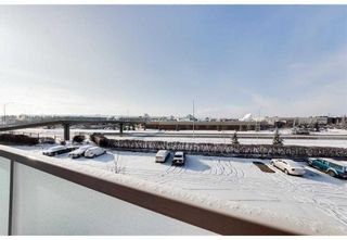Photo 13: 305 3737 42 Street NW in Calgary: Varsity Apartment for sale : MLS®# A2129816
