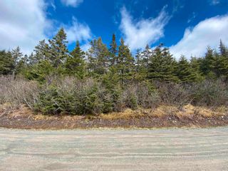 Photo 4: 60 Kaakwogook Way in Clam Bay: 35-Halifax County East Vacant Land for sale (Halifax-Dartmouth)  : MLS®# 202208112