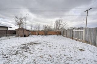 Photo 43: 124 Bedford Circle NE in Calgary: Beddington Heights Detached for sale : MLS®# A1190754