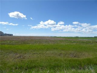 Photo 3: 32580 LOT 10 Netook Crossing Olds: Rural Mountain View County Industrial Land for sale : MLS®# A1218062