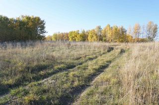 Photo 15: 31 53214 RR 13: Rural Parkland County Rural Land/Vacant Lot for sale : MLS®# E4270602