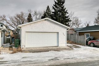 Photo 17: 3024 32A Street SE in Calgary: Dover Detached for sale : MLS®# A1175138